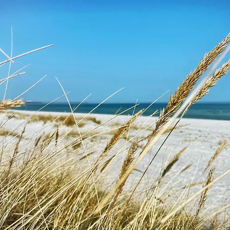 Σπίτι διακοπών Prerowliebe Prerow