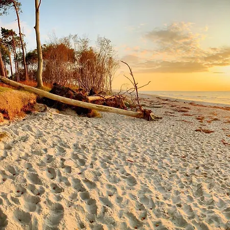 Σπίτι διακοπών Prerowliebe