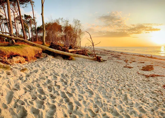 בית נופש Prerowliebe